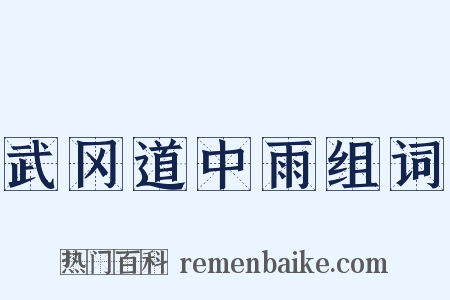 武冈道中雨组词是什么意思的图片